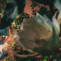 Relax e comodità in centro a Marina di Camerota