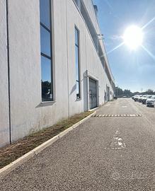 Elmas Z.I. via Bacco Magazzino mq. 279