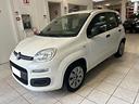 fiat-panda-1-2-easy