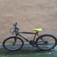Bicicletta 