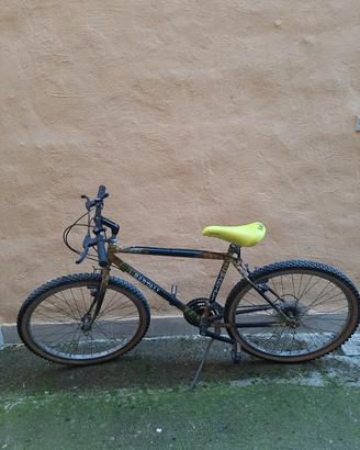 Bicicletta 
