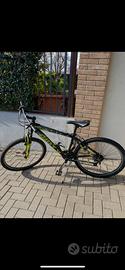 Bicicletta mountain bike