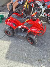 Quad 125 4t