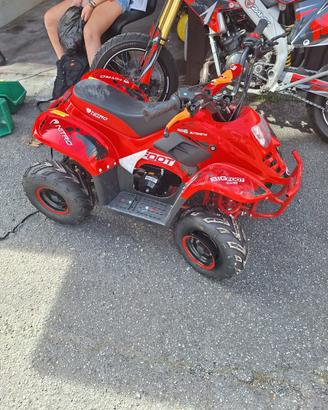 Quad 125 4t