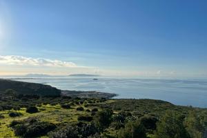 Terreno Piano Guastella Erice
