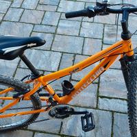 bicicletta bambino bottecchia diam ruota 24