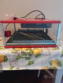 Incubatrice maino