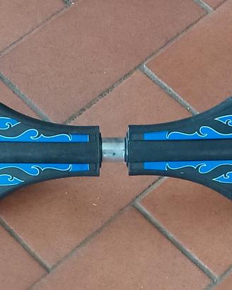 skateboard 2 ruote