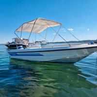 Barca 4.80 HELLAS PARADISE motore 25cv carrello