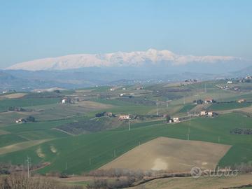 Vendita terreno agricolo di ha 7.37.80