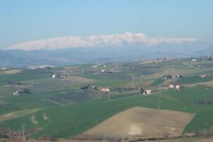 Vendita terreno agricolo di ha 7.37.80