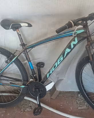 mountain bike da uomo