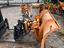 Immagine 14