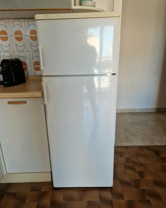 FRIGO electrolux 145x55x55