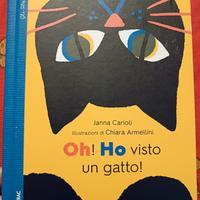 Oh!Ho visto un gatto!