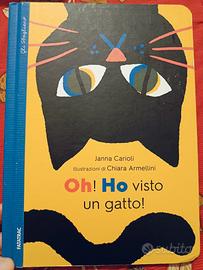 Oh!Ho visto un gatto!