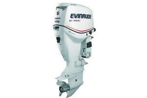 Motore fuoribordo Evinrude E tec 175 DPL