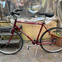 Bici city/trekking Bianchi Spillo 28"