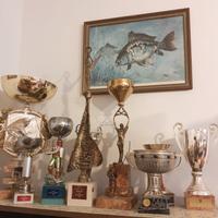 Coppe e trofei sportivi