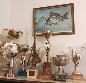 Coppe e trofei sportivi