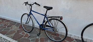 Bicicletta da uomo 