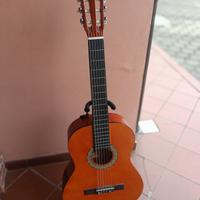 chitarra e custodia