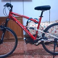 bici 24 pollici