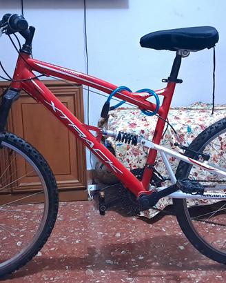 bici 24 pollici