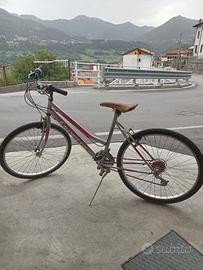 bicicletta
