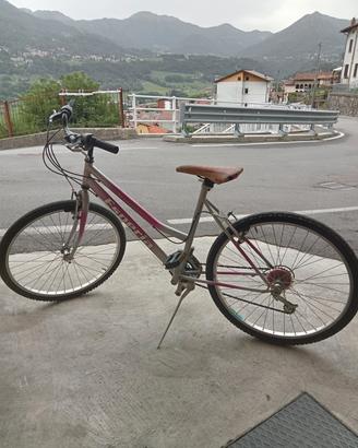 bicicletta