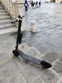 Segway Ninebot E45E con doppia batteria