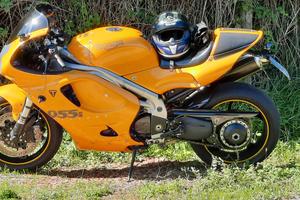 Triumph daytona 955i 2001 special