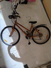 bicicletta ragazzina 