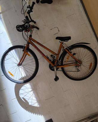 bicicletta ragazzina 
