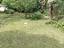 Immagine 22