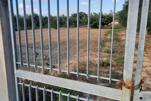 Terreno agricolo Bosci