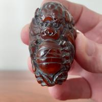 Piccolo Drago in Corno di YAK