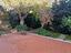 Immagine 14