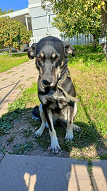 Nelly la simpaticona