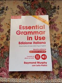Essential grammar in Use