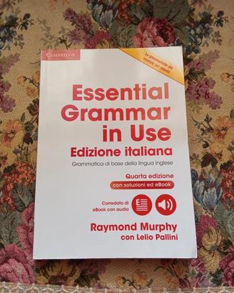Essential grammar in Use