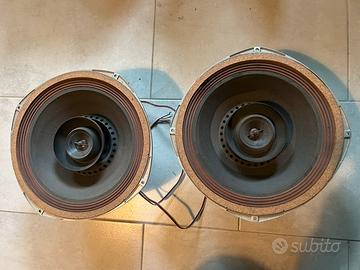 Coppia Altoparlanti University 312 Diffaxial 12"