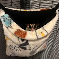 Petauro dello zucchero + accessori voliera