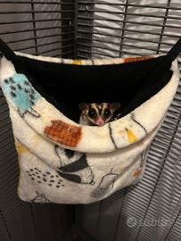 Petauro dello zucchero + accessori voliera