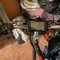 Bici elettrica lombardo