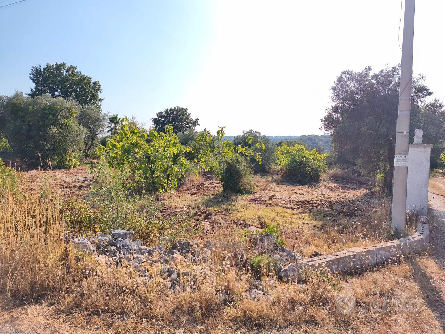 Terreno 4.700m² edificabile. Ceglie Messapica (BR) - Vista 4