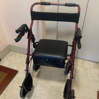 Sedia a rotelle