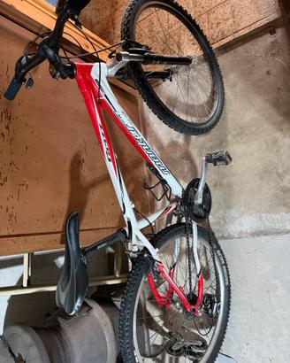 Bicicletta