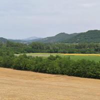 Terreno agricolo di 78.763 mq