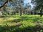 Immagine 25